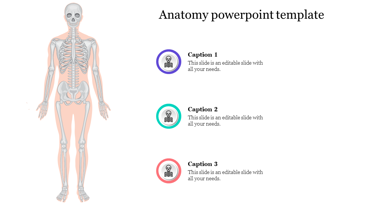 Anatomy powerpoint template